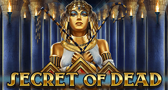 Bet casino online